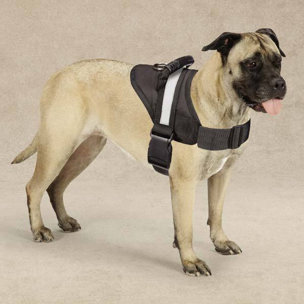 Guardian Gear Excursion Dog Harnesses M