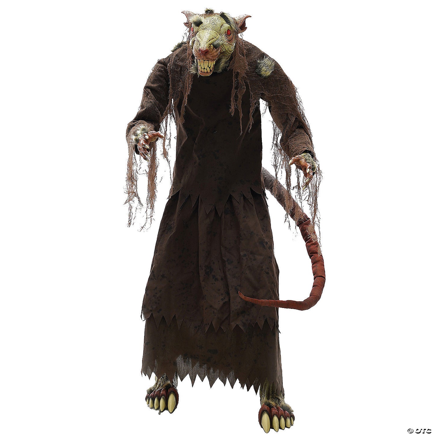60 inch mangey rat