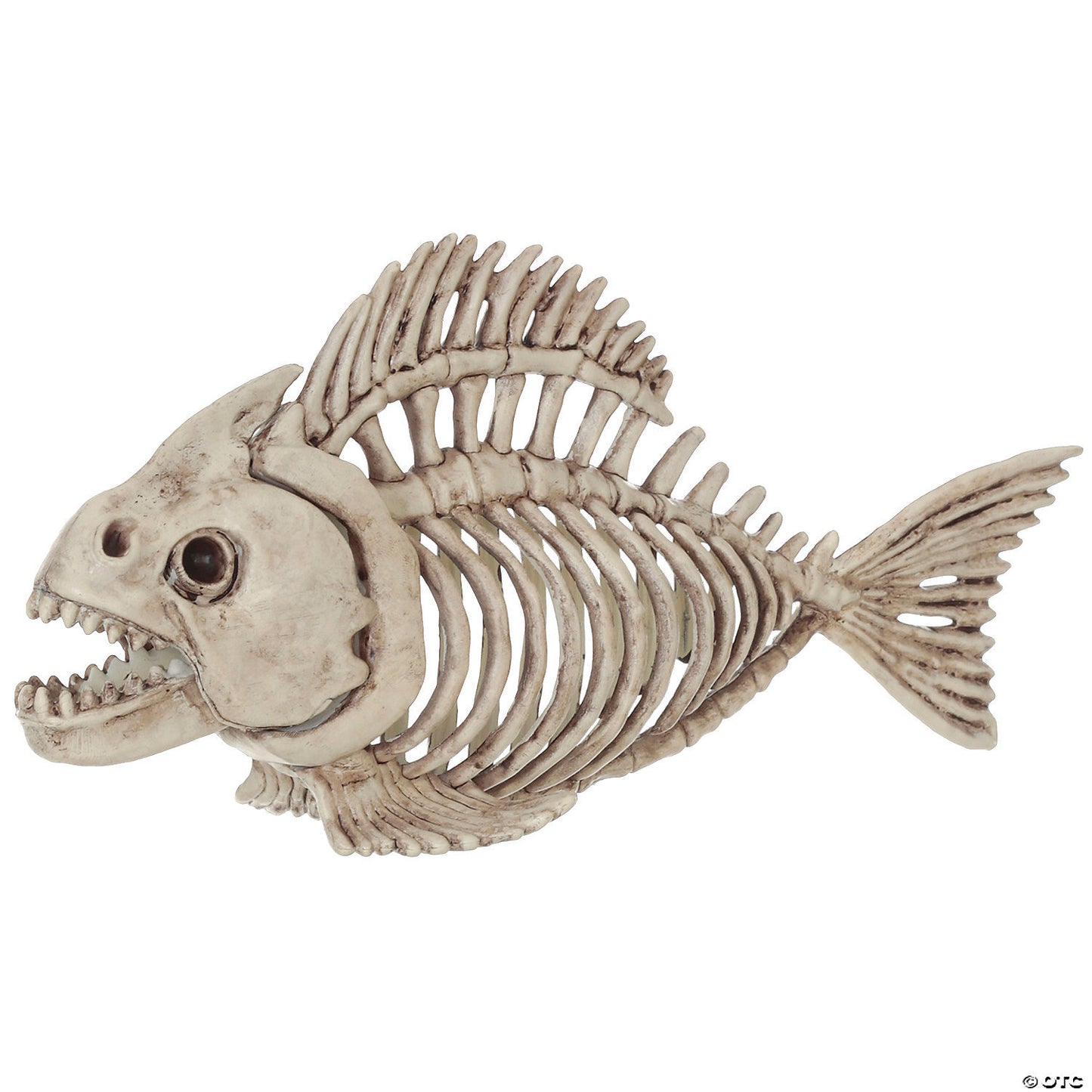 Skeleton fish