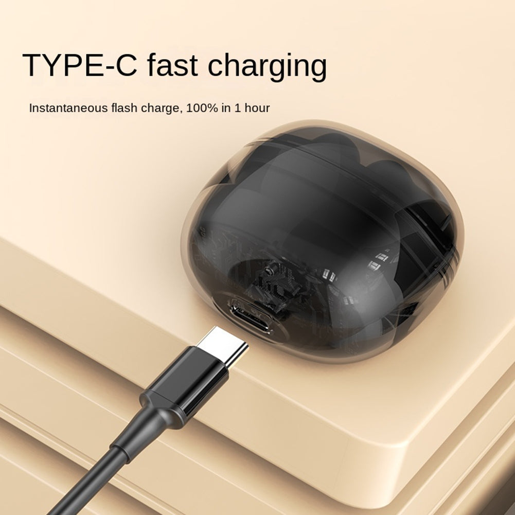 J209 Wireless Earbuds with Transparent Charging Case – Black