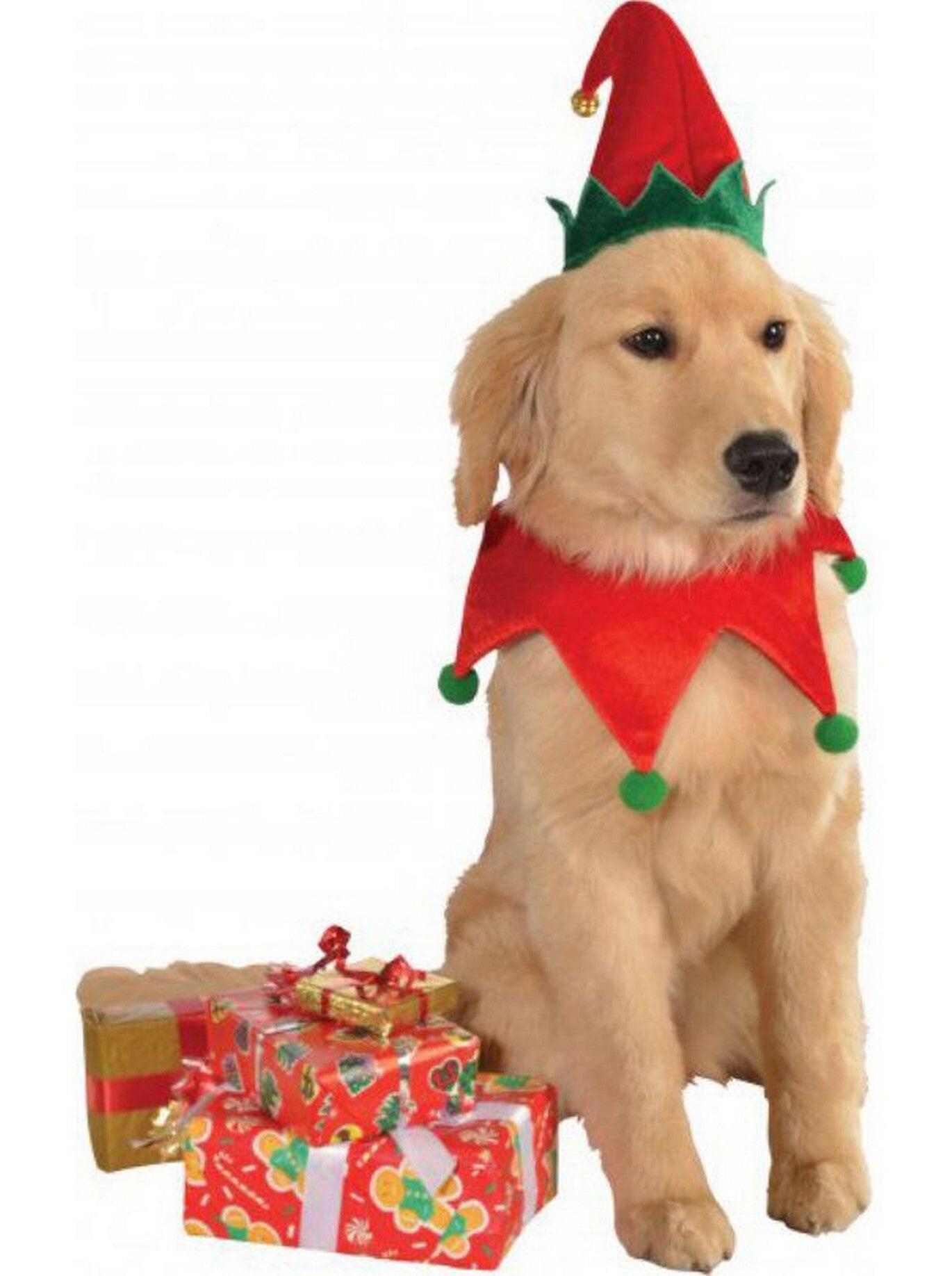 Elf Hat and Collar Pet Costume M L
